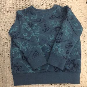 Kids Dinosaur Pullover